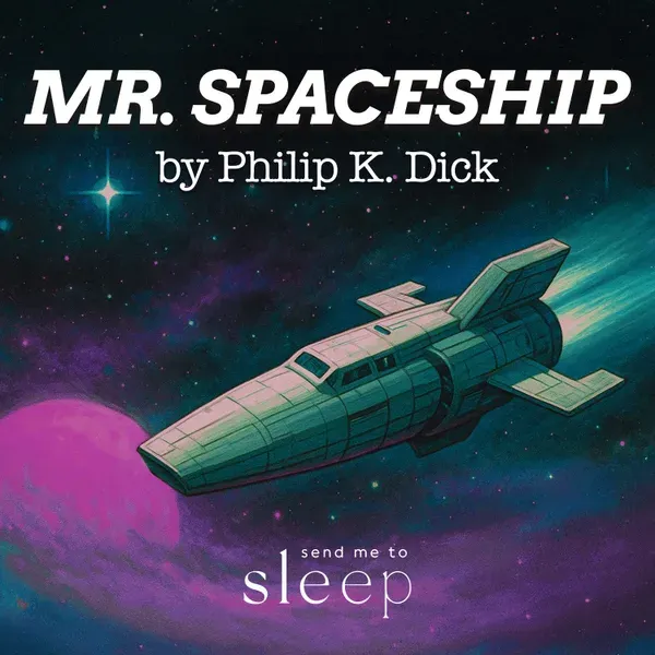 Mr Spaceship audiobook cover