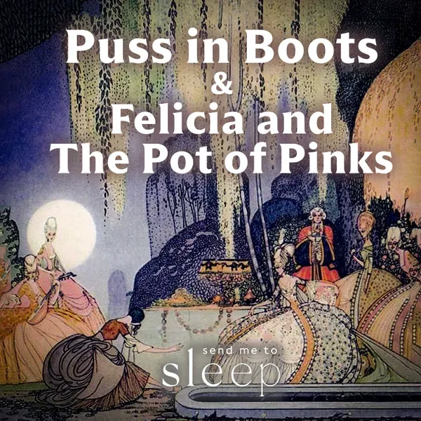 Puss in Boots & Felicia and the Pot of Pinks audiobook cover
